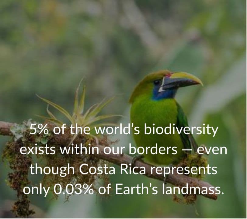 Costa Rica fact
