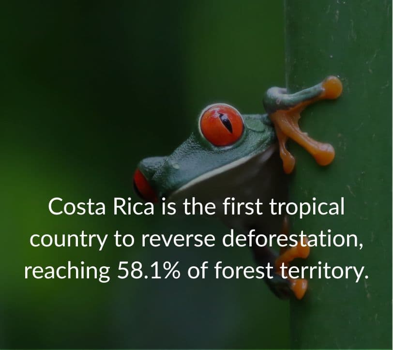 Costa Rica fact
