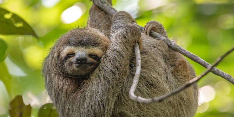 Costa Rica Is Now One of the World’s Happiest Countries to Live