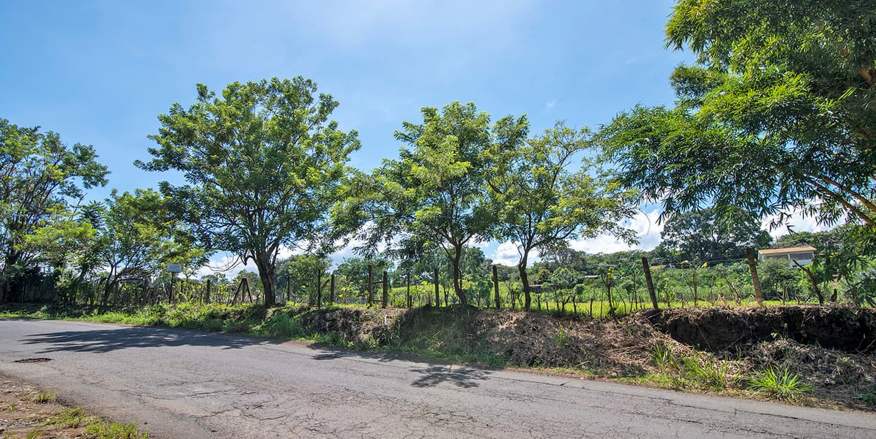 Lote La Cañada — photo