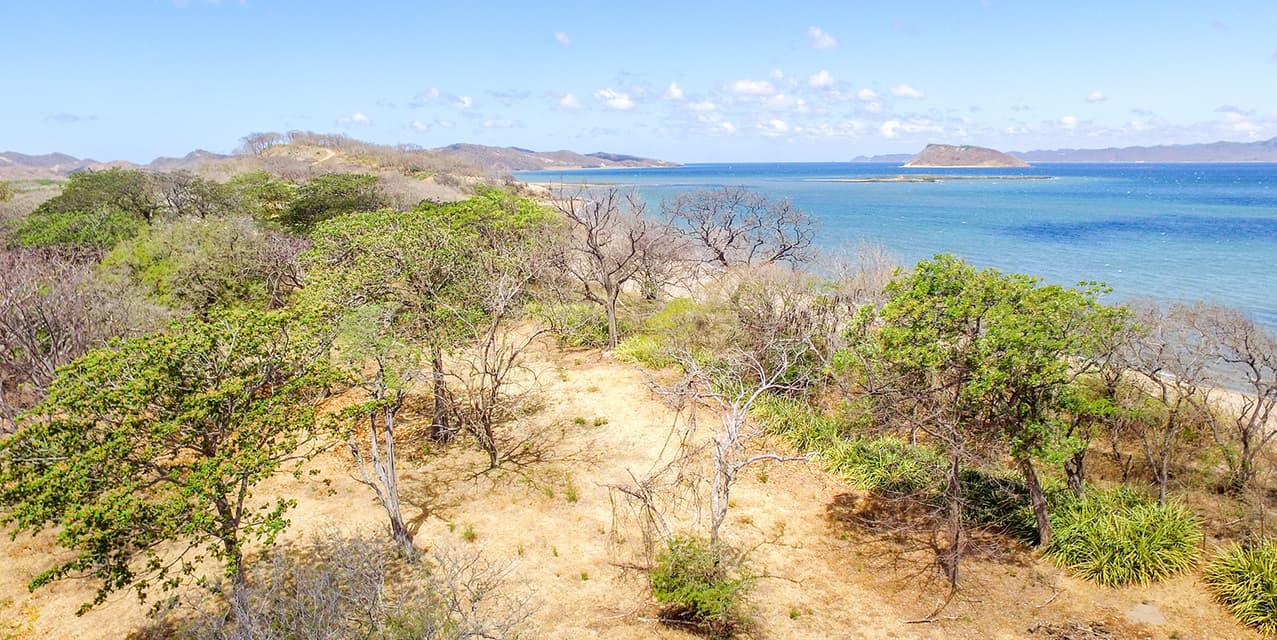 Papaturro Bahia Salinas Titled Beachfront — photo