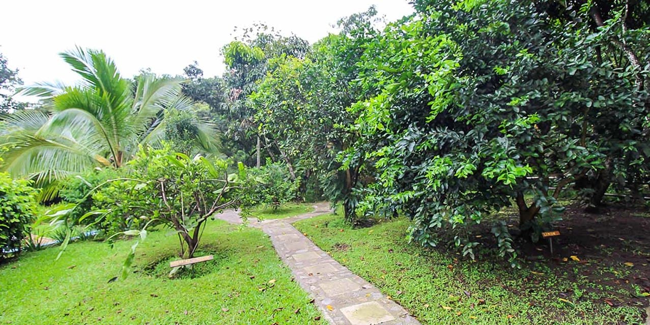Villa Reunión Estate in Santa Ana — photo