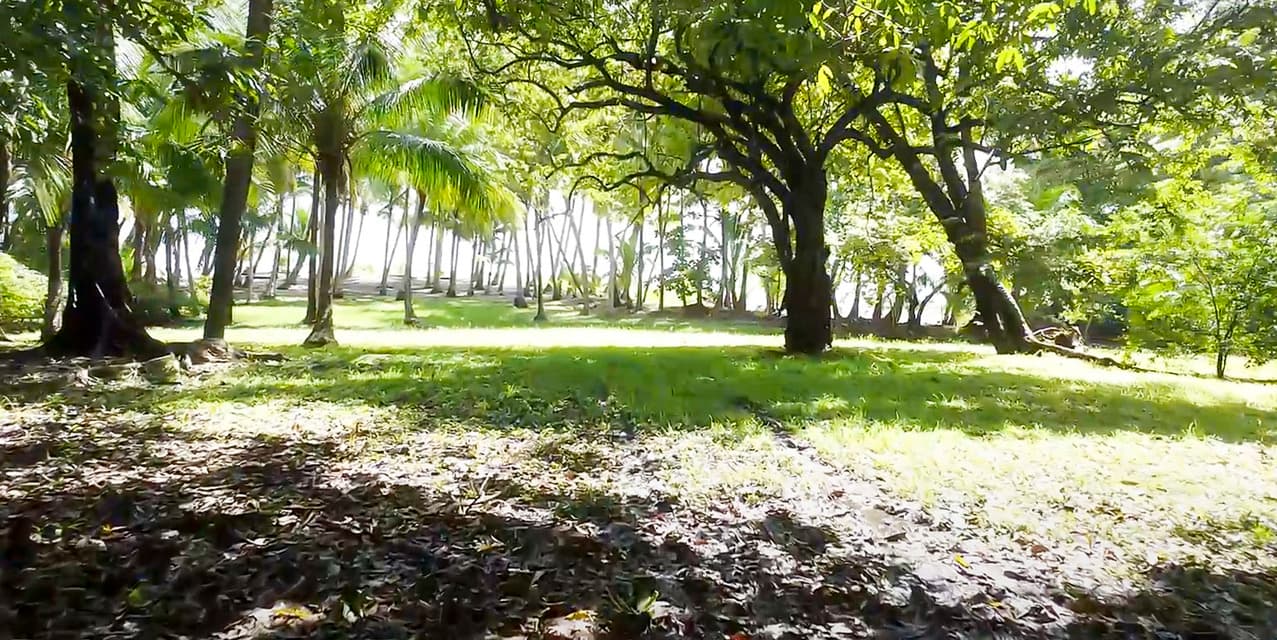 Malpaís Beachfront Lot with Quiet Bay — photo