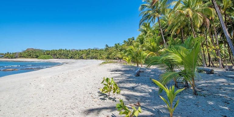 Malpaís Beachfront Lot with Quiet Bay