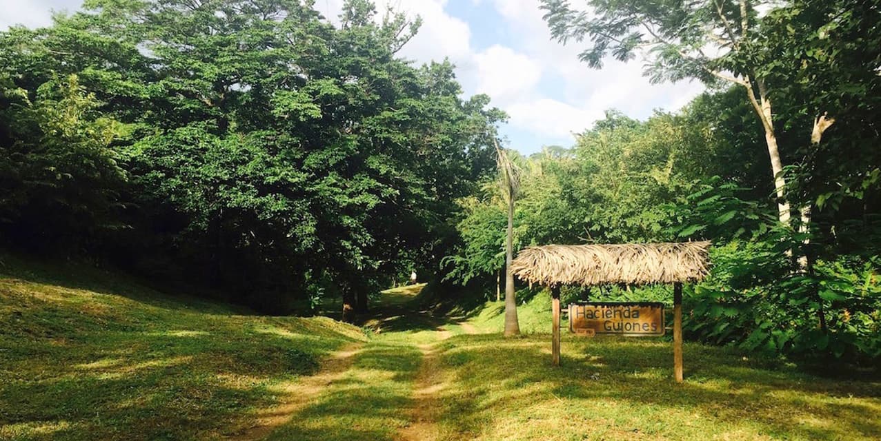 The Hills at Hacienda Guiones — photo