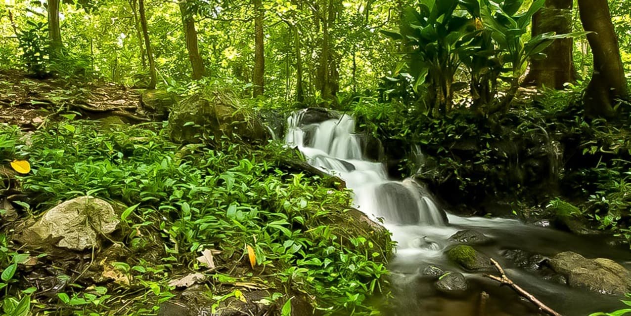 Hacienda Tierra Mística, Bagaces — photo