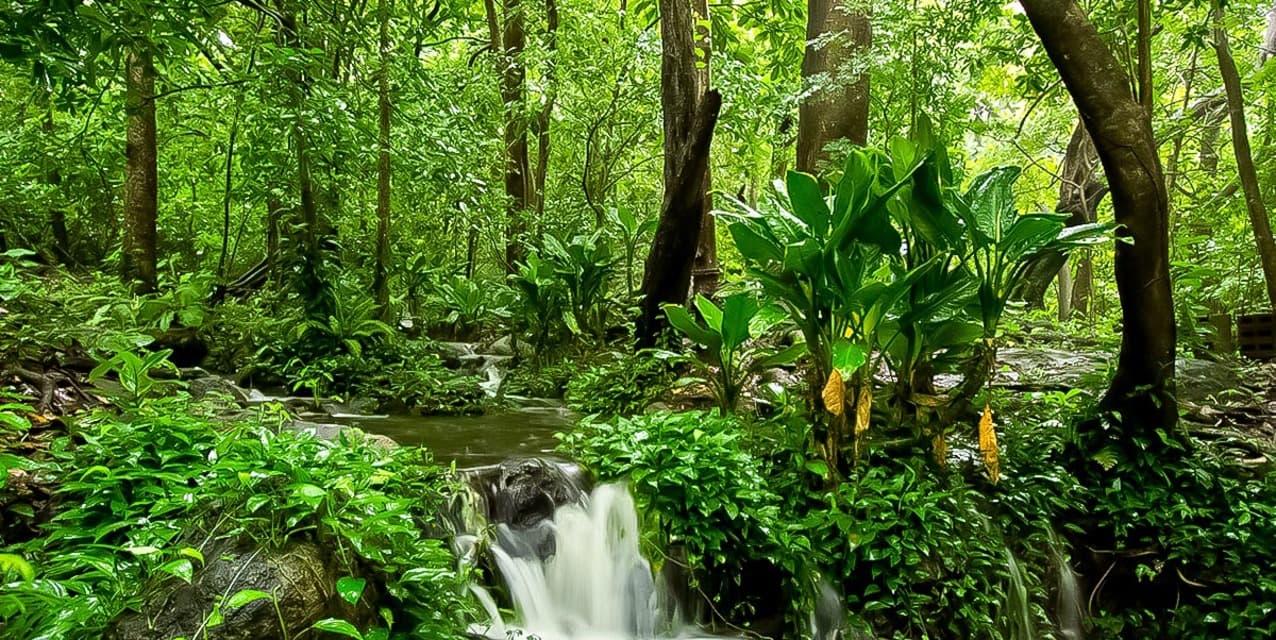 Hacienda Tierra Mística, Bagaces — photo