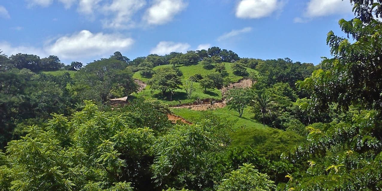 Forest View Lot in Esperanza — photo