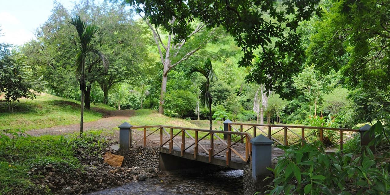 Forest View Lot in Esperanza — photo