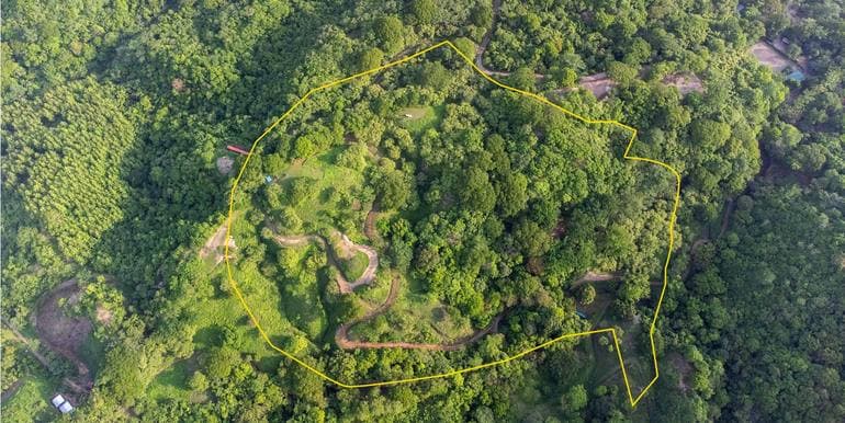Forest View Lot in Esperanza