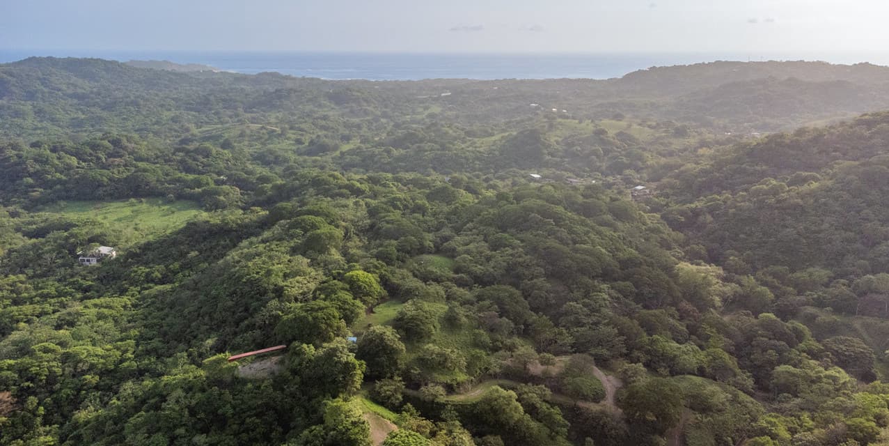 Forest View Lot in Esperanza — photo