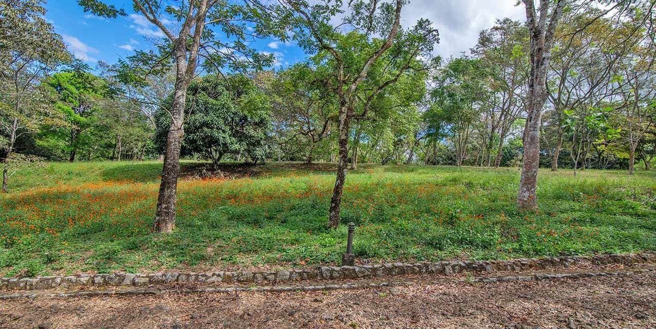 Terres Vertes Development Land in Ciudad Colón — photo