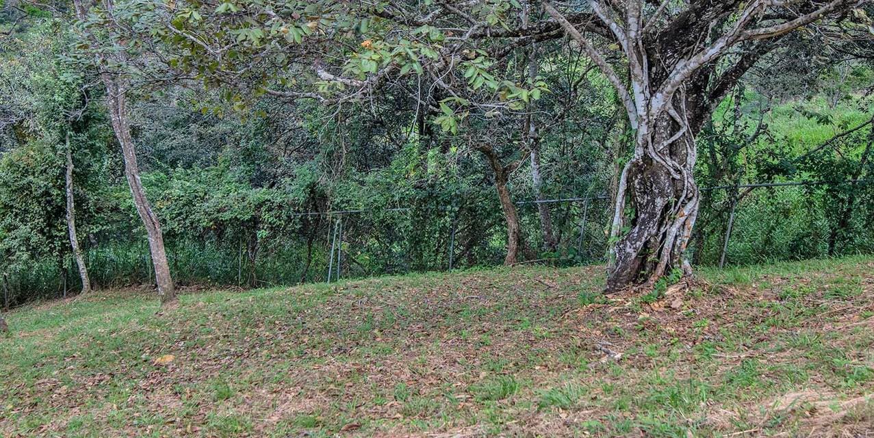 Terres Vertes Development Land in Ciudad Colón — photo
