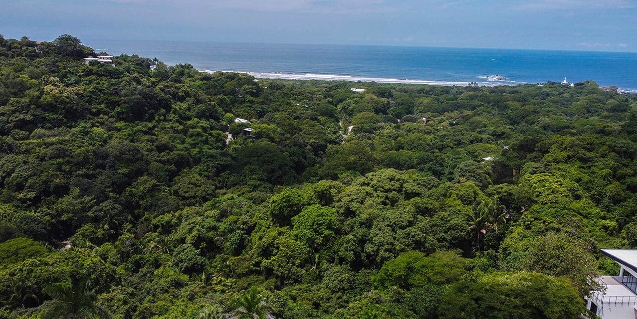 Section D Nosara Oceanview Land — photo
