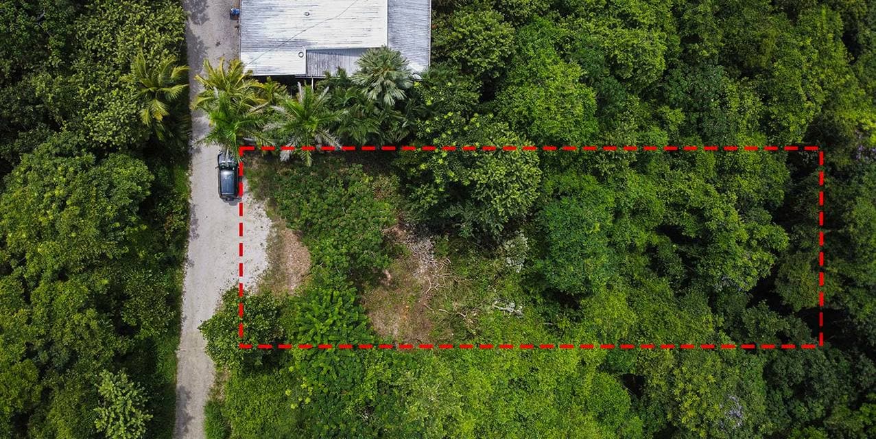 Section D Nosara Oceanview Land — photo