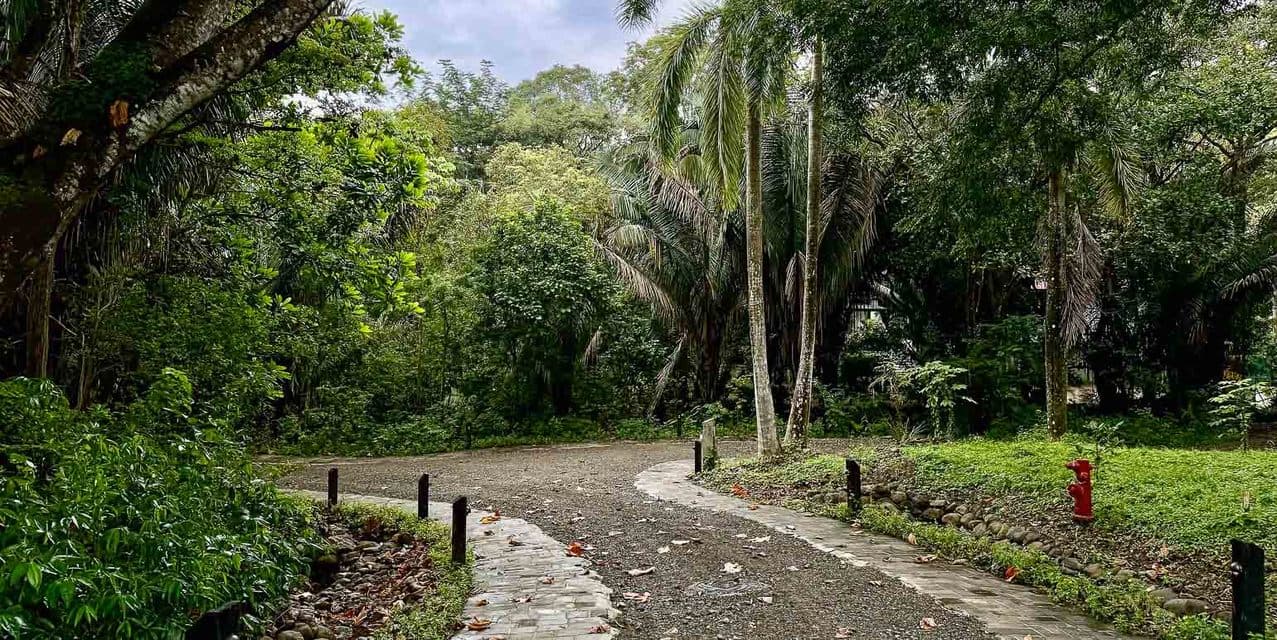 El Bosque Lotes en Nosara — photo
