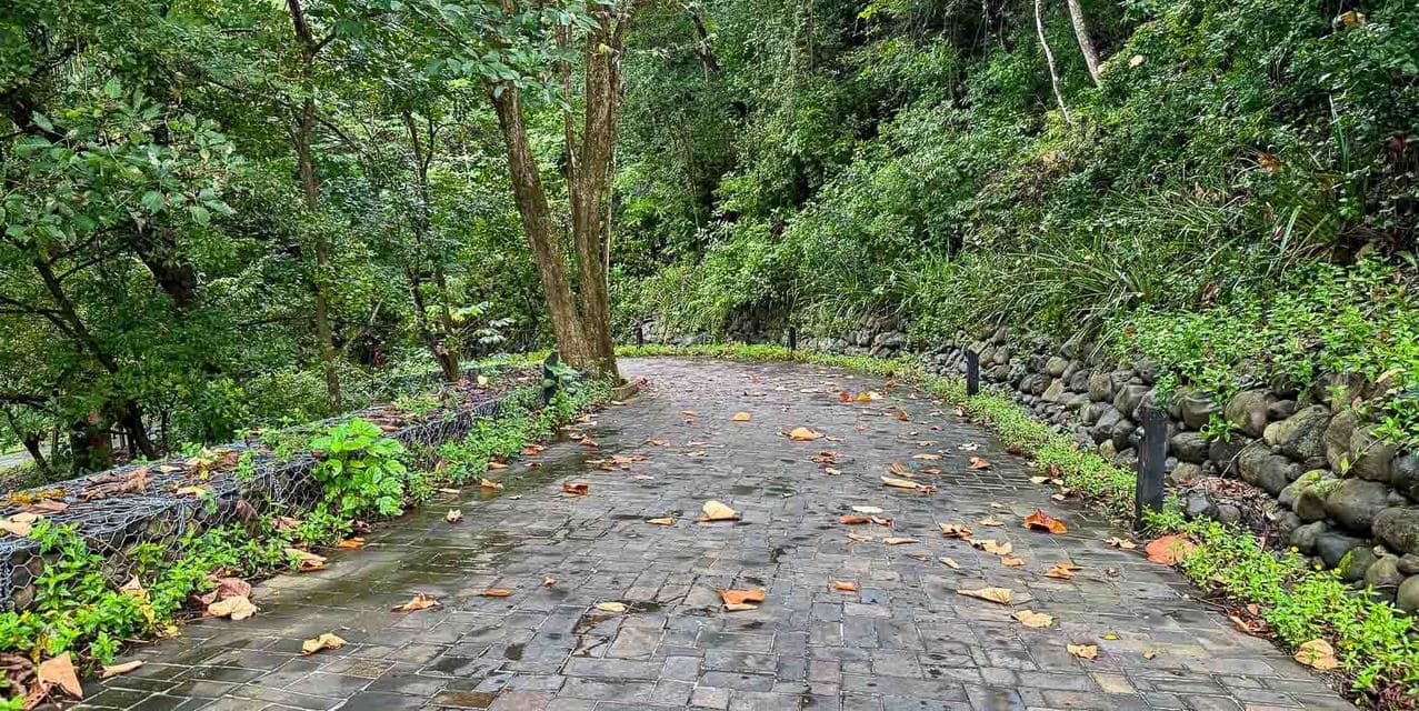 El Bosque Lotes en Nosara — photo