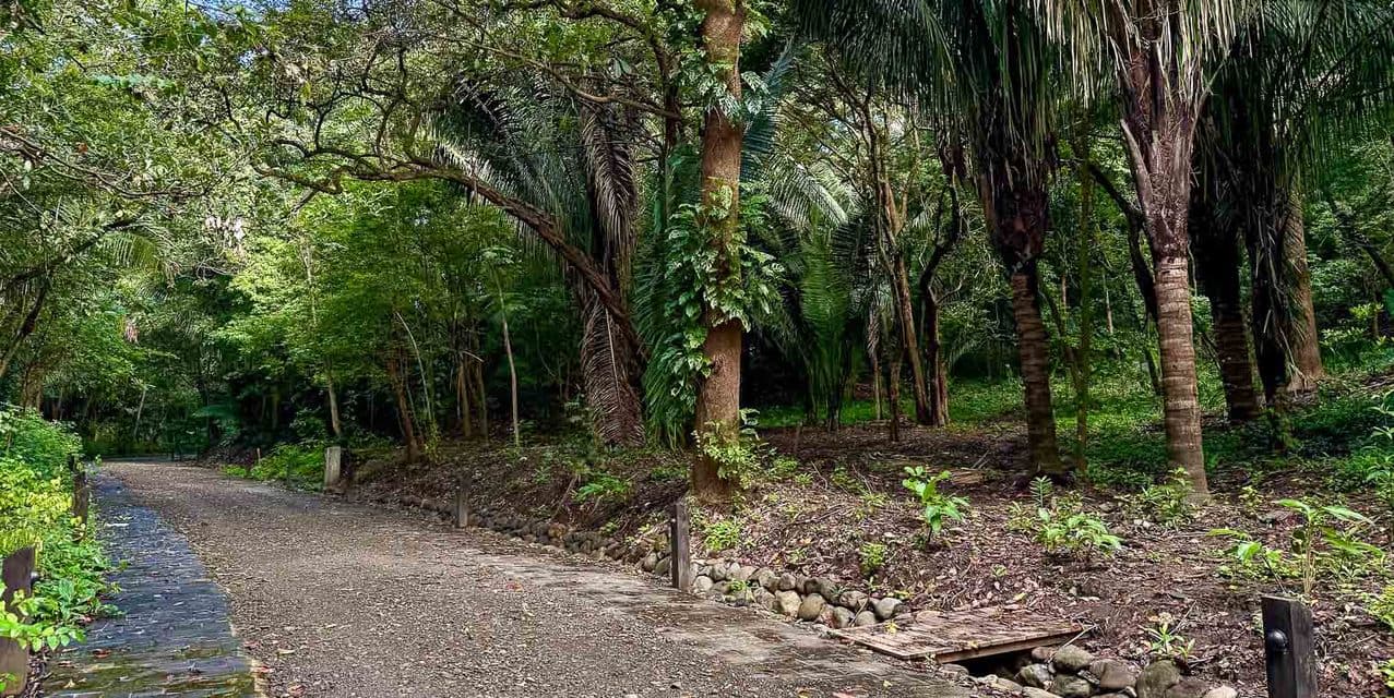 El Bosque Lotes en Nosara — photo