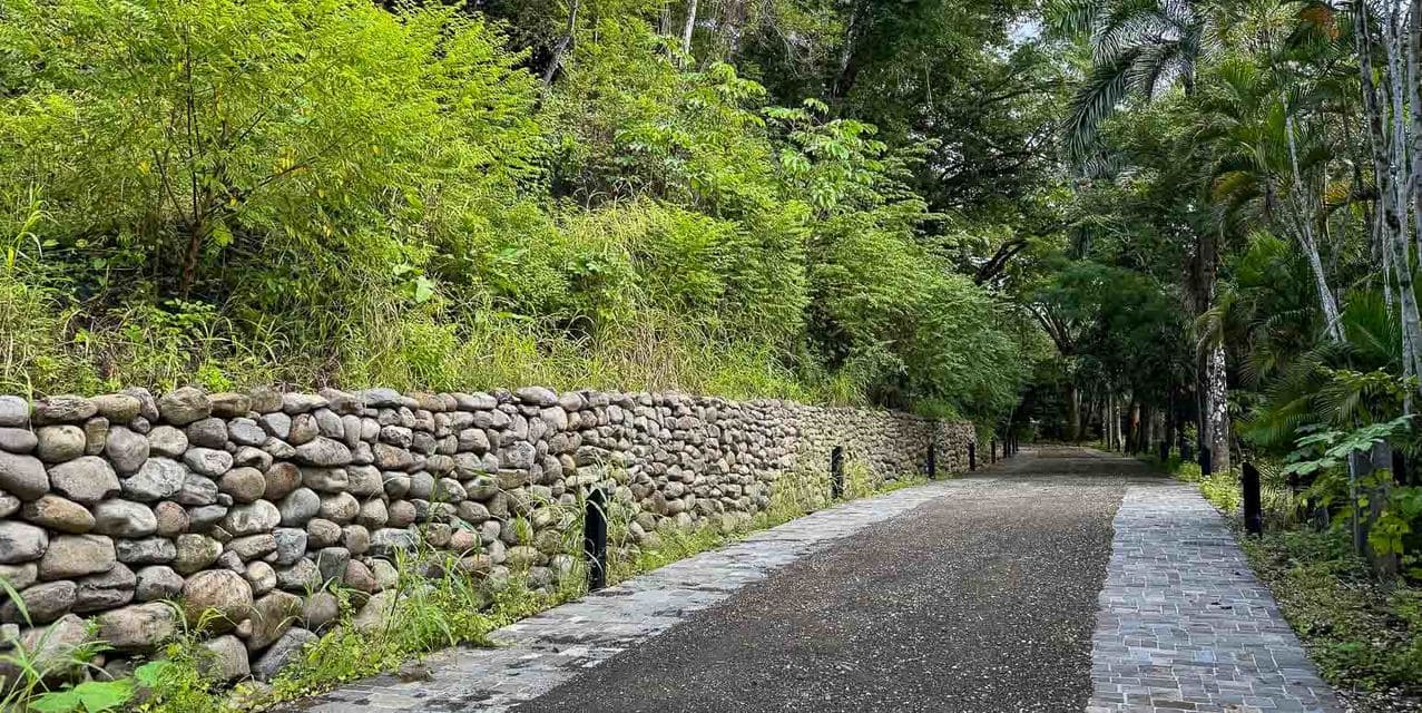El Bosque Lotes en Nosara — photo