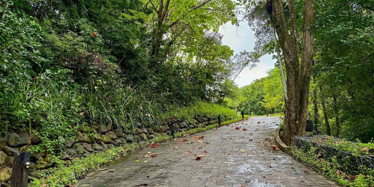 El Bosque Lotes en Nosara — photo