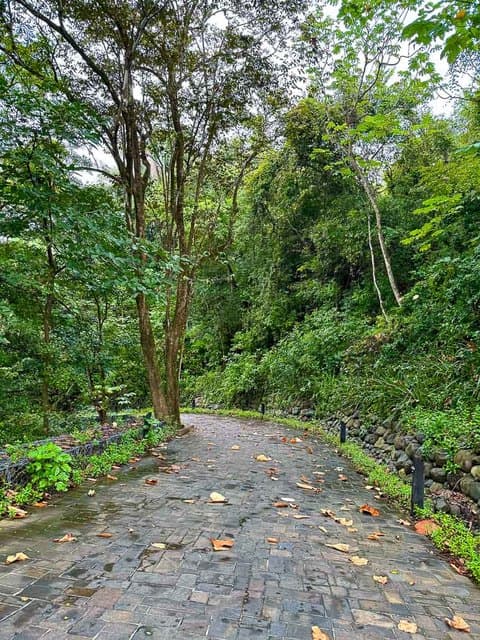 El Bosque Lotes en Nosara — photo