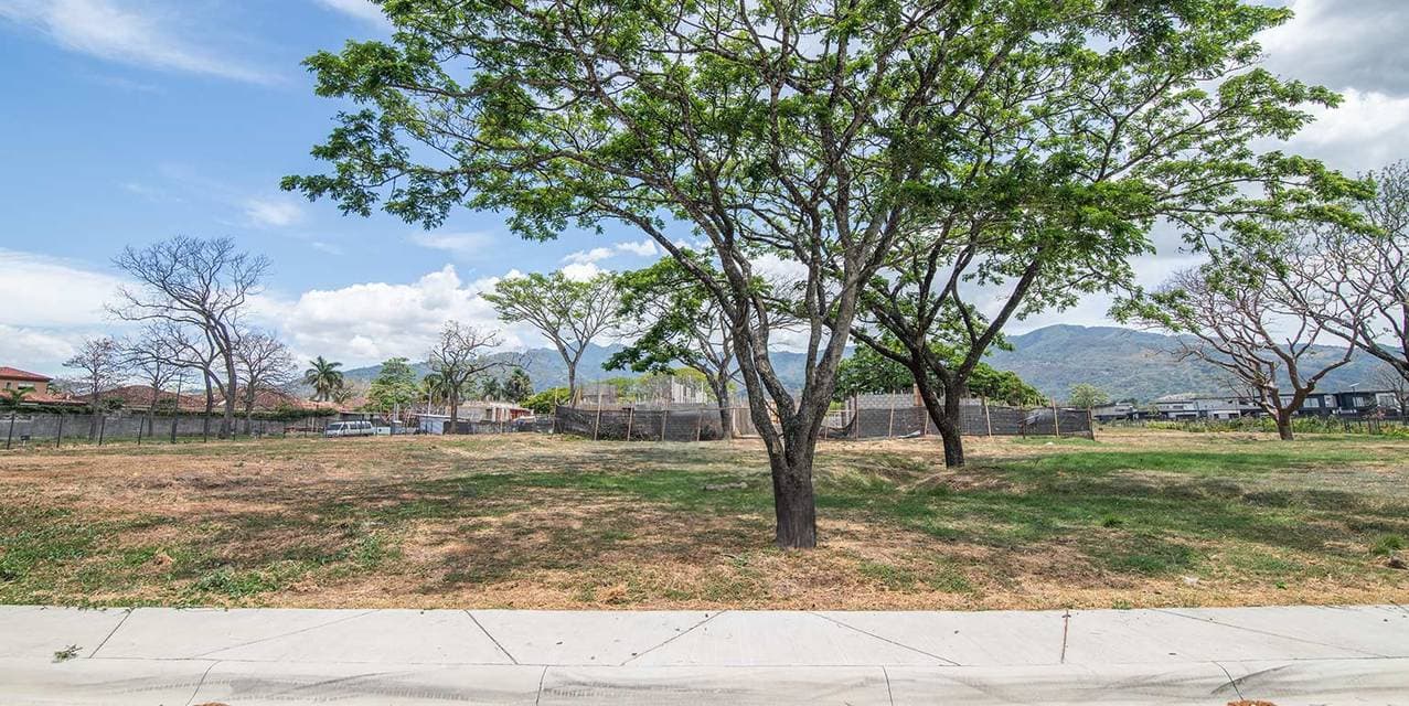 The Yard Lot Santa Ana — photo