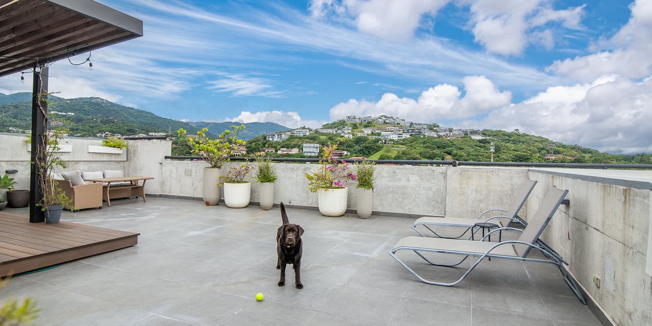 Investment: Felicity Penthouse @ Guachipelín — photo