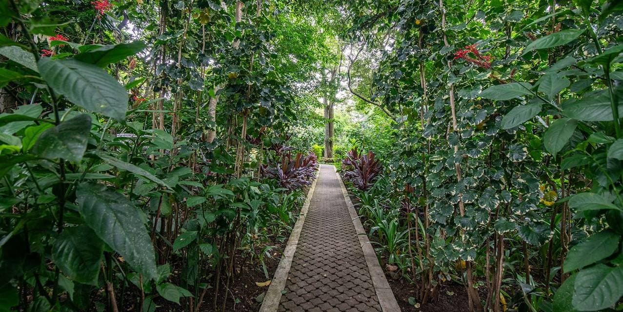 Investment: Felicity Penthouse @ Guachipelín — photo
