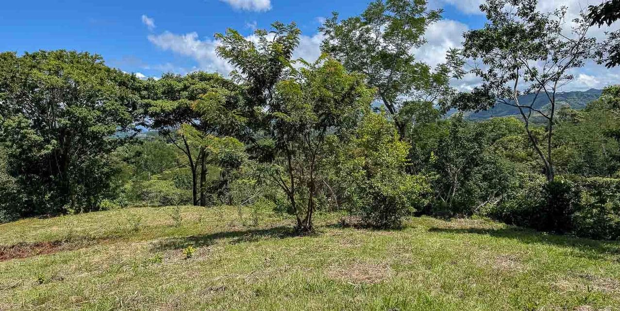 Jungle and Mountain Views Lots in Betel - Manzanillo — photo