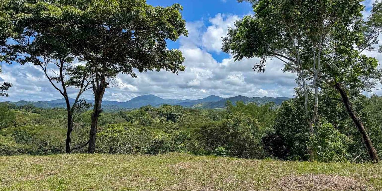 Jungle and Mountain Views Lots in Betel - Manzanillo — photo