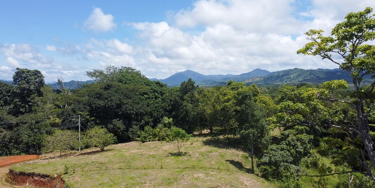 Jungle and Mountain Views Lots in Betel - Manzanillo — photo