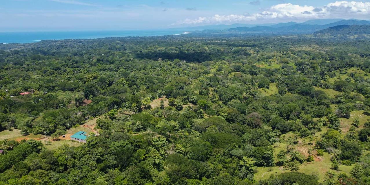 Jungle and Mountain Views Lots in Betel - Manzanillo — photo