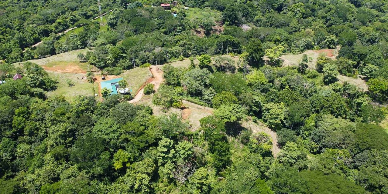 Jungle and Mountain Views Lots in Betel - Manzanillo — photo