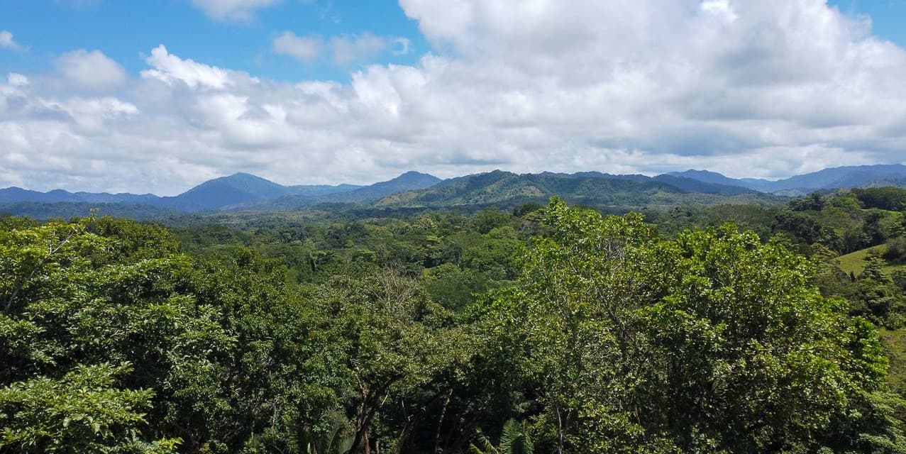 Jungle and Mountain Views Lots in Betel - Manzanillo — photo