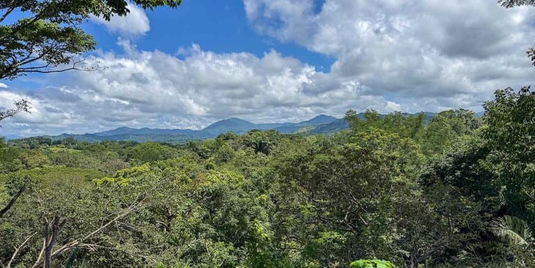 Jungle and Mountain Views Lots in Betel - Manzanillo