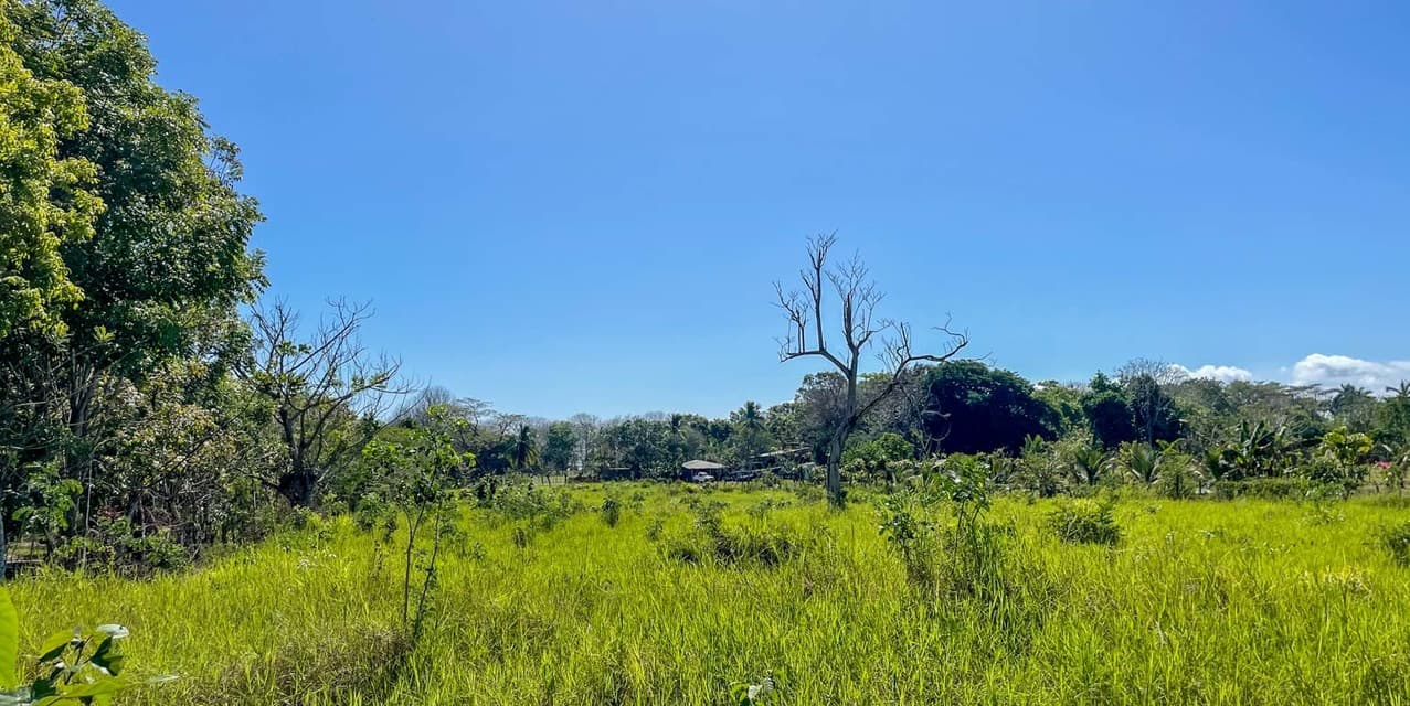 Gift of Nature Land at Playa Cabuya — photo