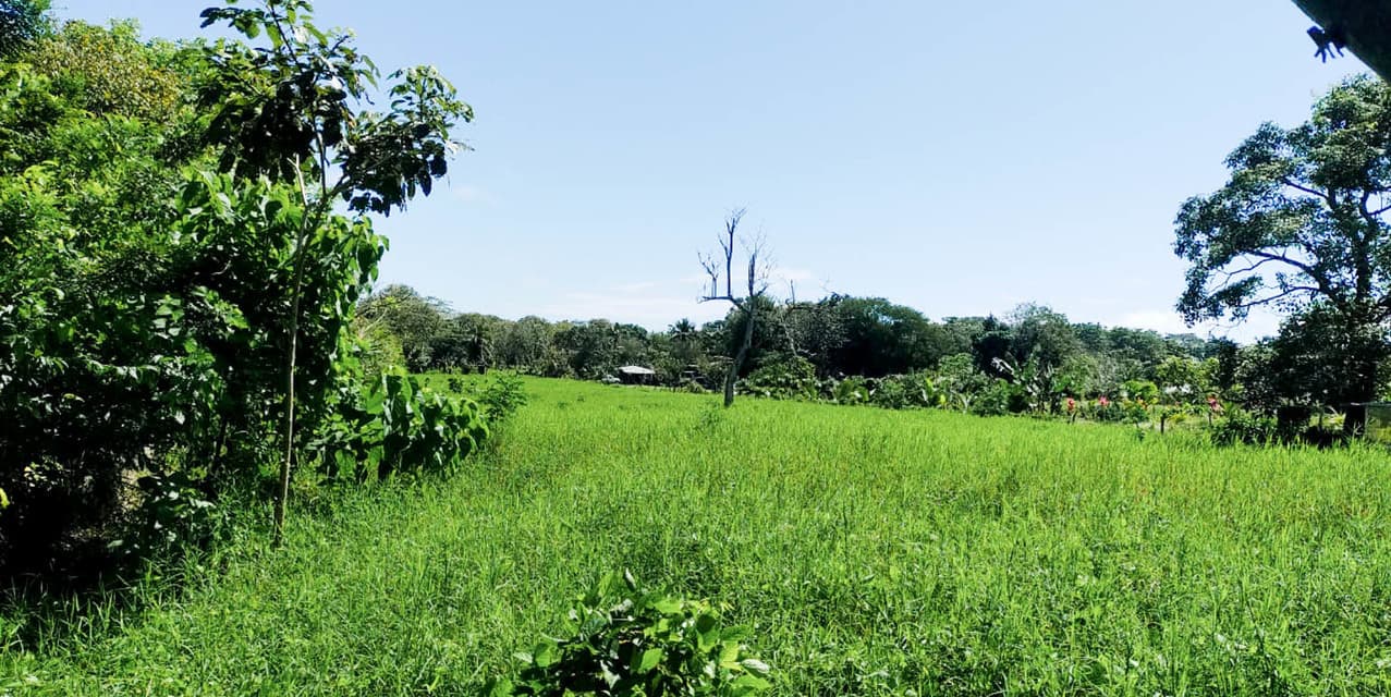 Gift of Nature Land at Playa Cabuya — photo