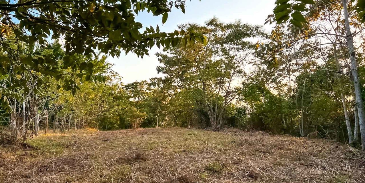 Ocean View Land in the Hills of Santiago — photo
