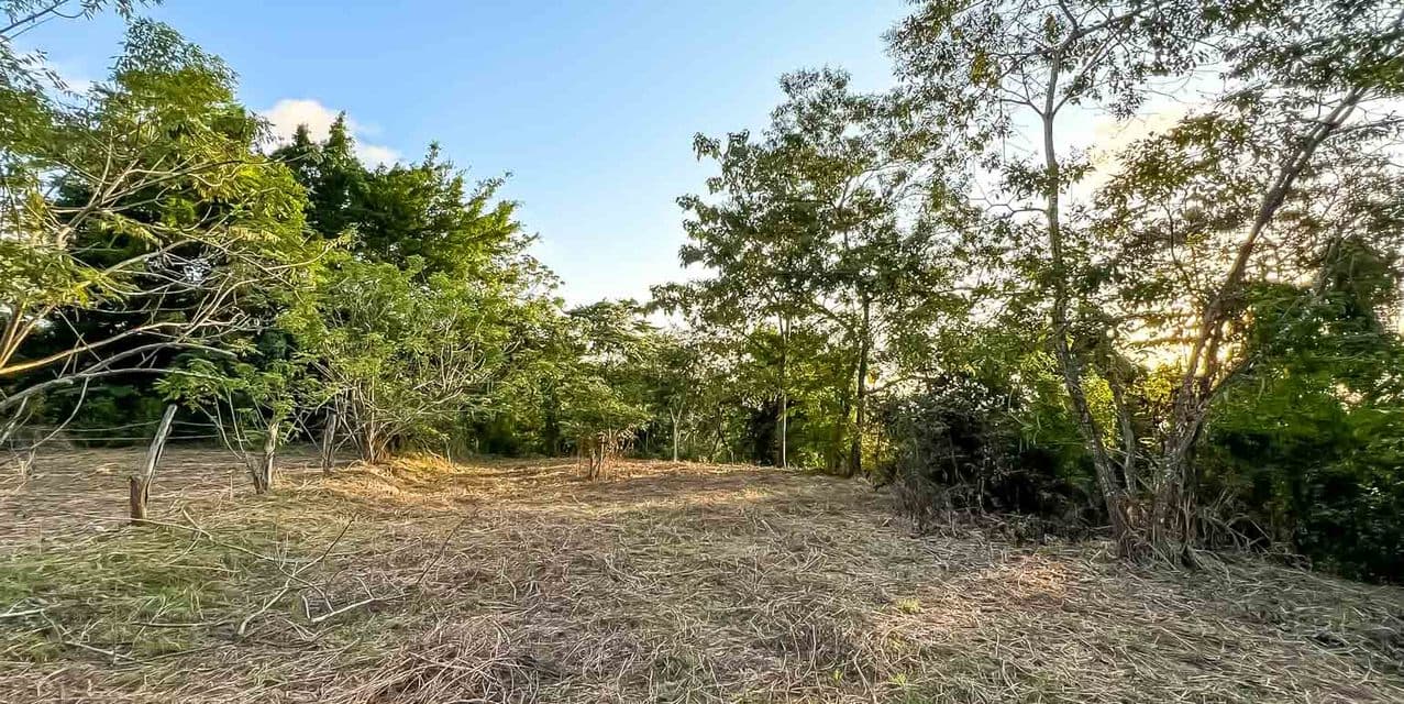 Ocean View Land in the Hills of Santiago — photo