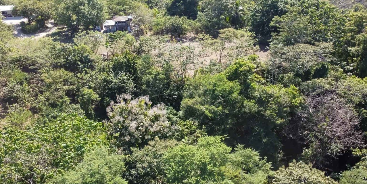 Ocean View Land in the Hills of Santiago — photo