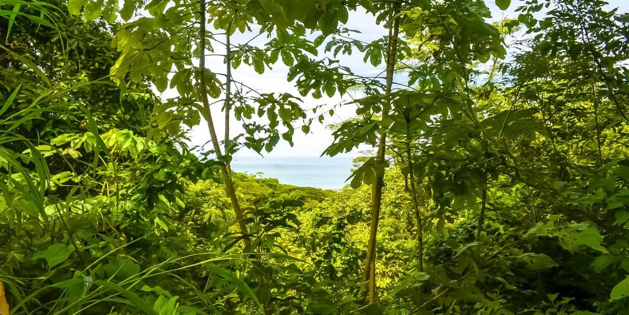 Ocean View Land in the Hills of Santiago — photo