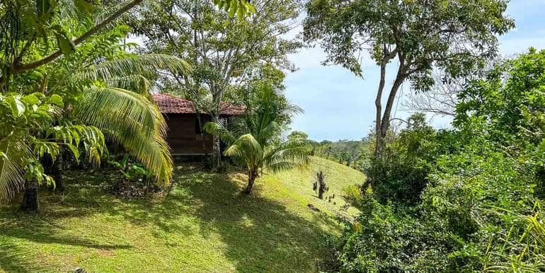 Ocean View Hidden Gem