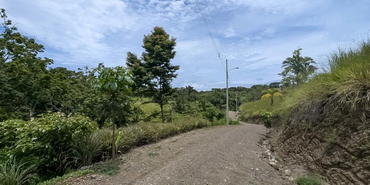 Expansive Hillside Lot Above Santa Teresa — photo