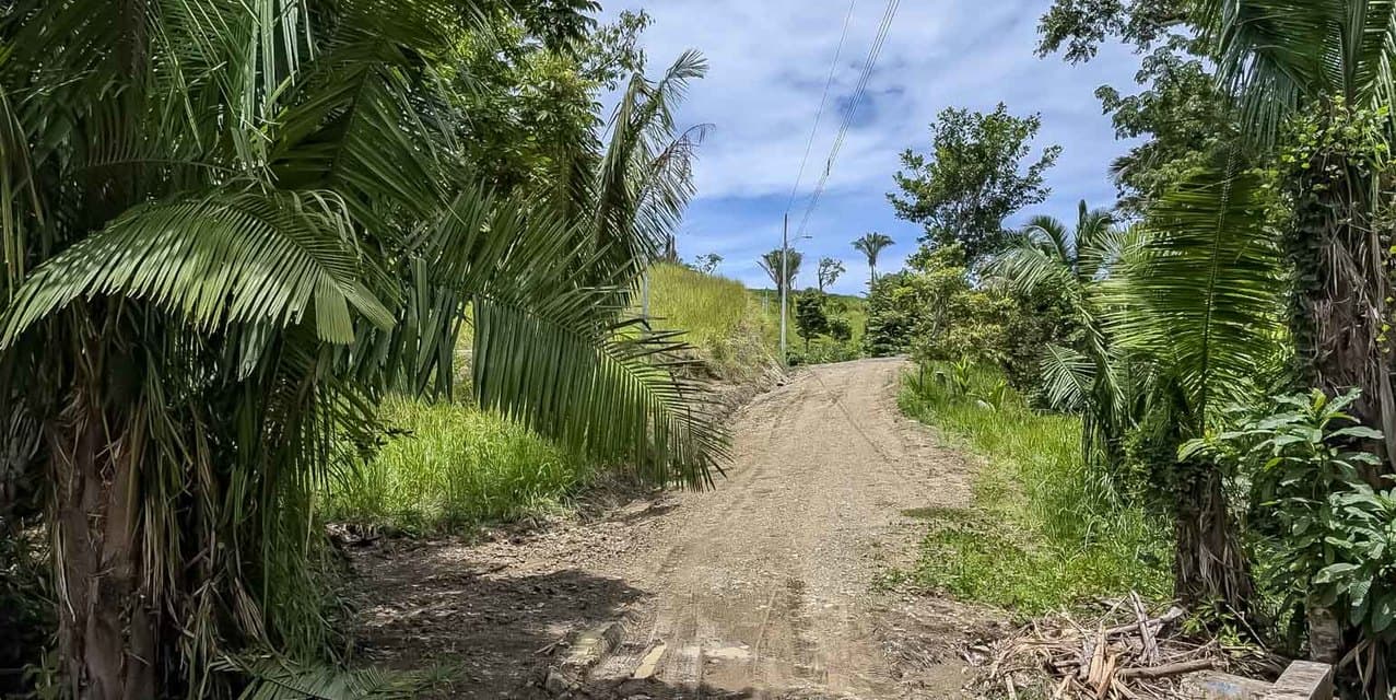 Expansive Hillside Lot Above Santa Teresa — photo