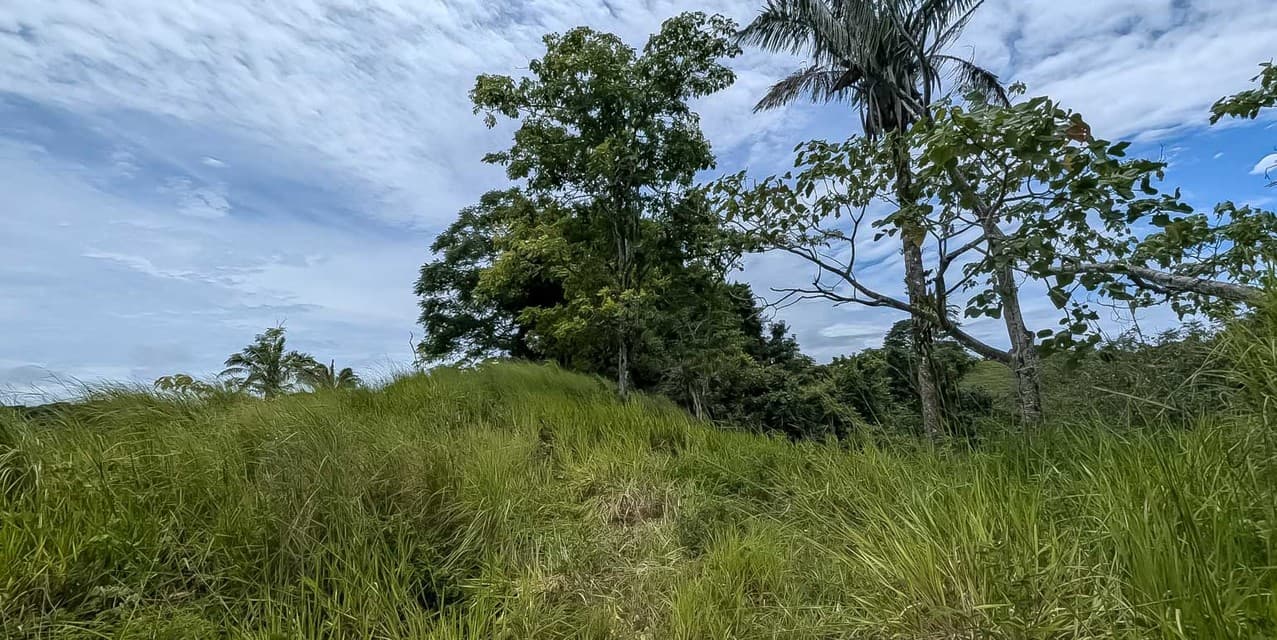 Expansive Hillside Lot Above Santa Teresa — photo