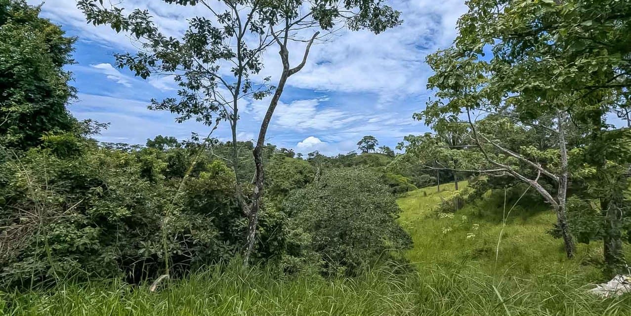 Expansive Hillside Lot Above Santa Teresa — photo