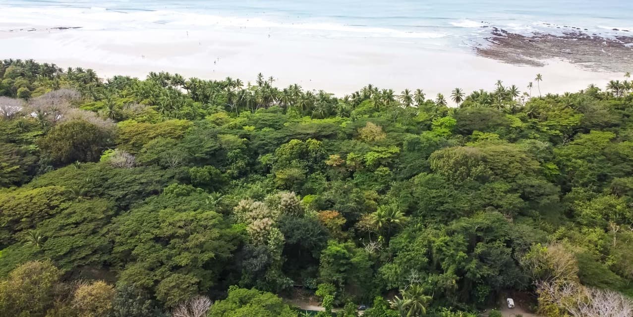 Distinguished Playa Hermosa Beachfront Lot — photo