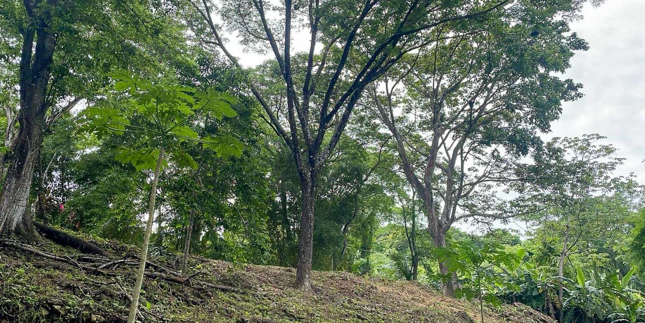 Propiedad con Vista al Valle — photo