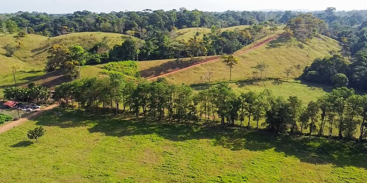 Hacienda Agropecuaria Río San Carlos — photo