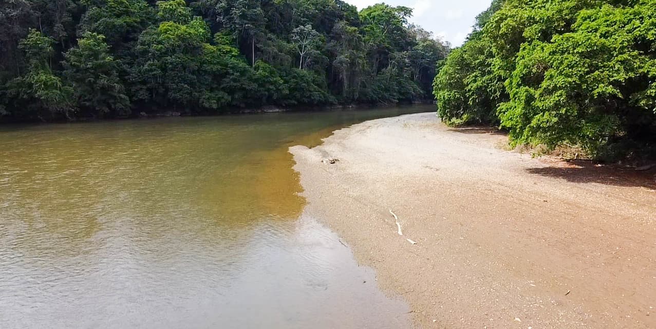 Hacienda Agropecuaria Río San Carlos — photo